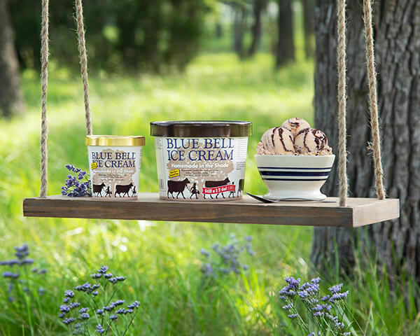 Blue Bell Homemade in the Shade Ice Cream in half gallon and pint