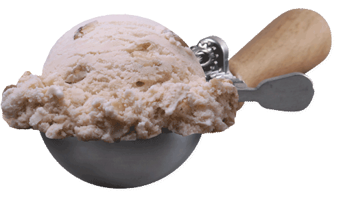 Scoop of Black Walnut